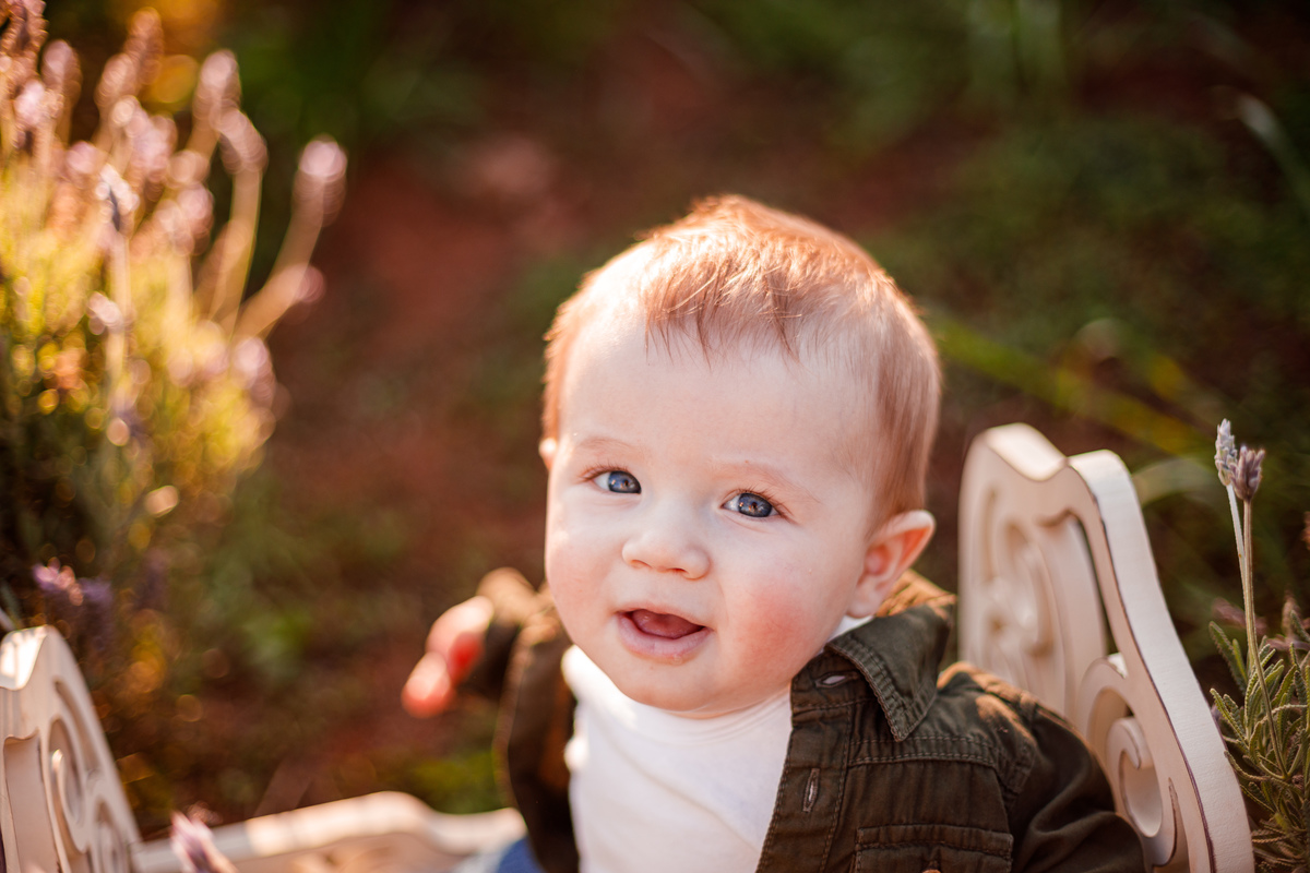 Fotografa familia Curitiba - picnic bebes lavatório por do sol