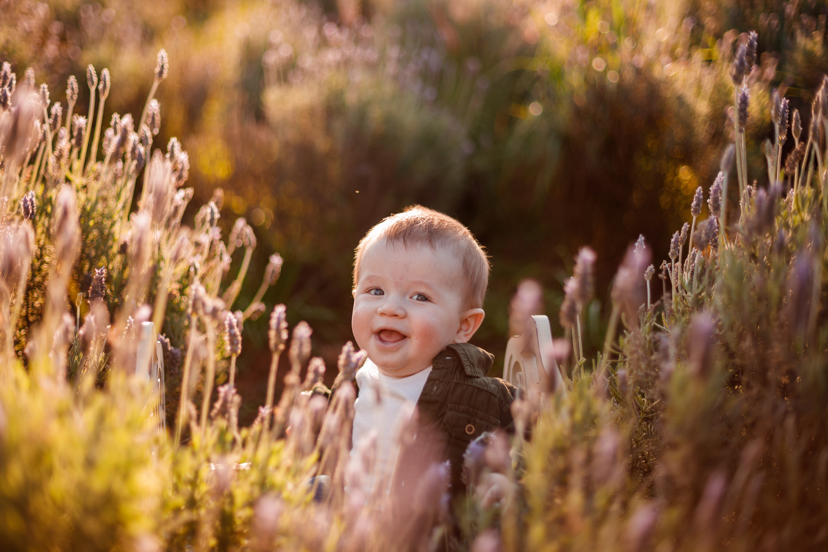 Fotografa familia Curitiba - picnic bebes lavatório por do sol