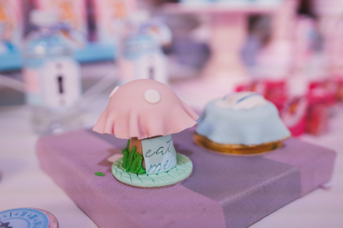 Fotografa familia Curitiba - alice no pais das maravilhas buffet play house