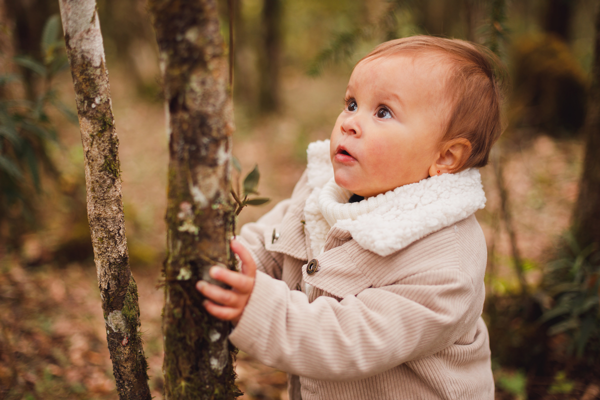 Fotografa familia Curitiba - ensaio bebê casa reforma campo magro