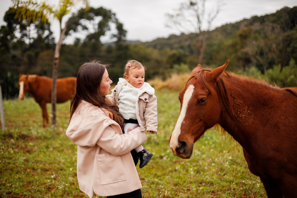 Fotografa familia Curitiba - ensaio bebê casa reforma campo magro