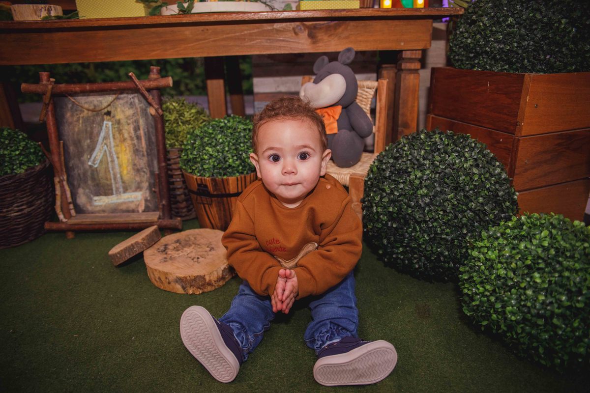 Fotografa familia Curitiba - buffet smalls kids safari bebes