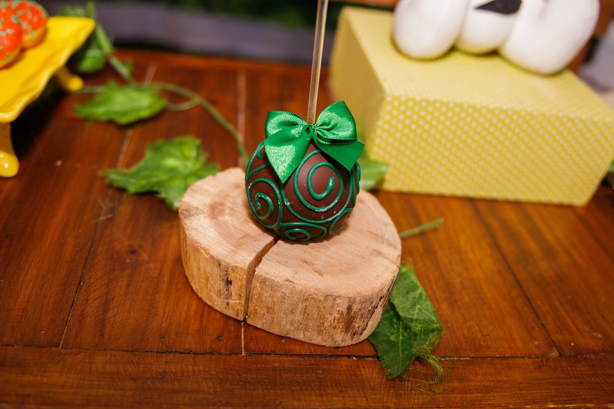 Fotografa familia Curitiba - buffet smalls kids safari bebes