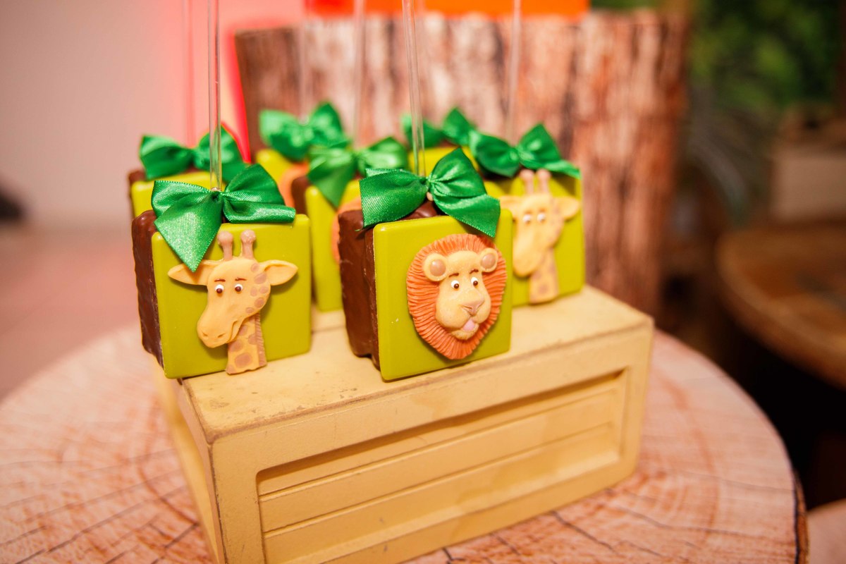 Fotografa familia Curitiba - buffet smalls kids safari bebes