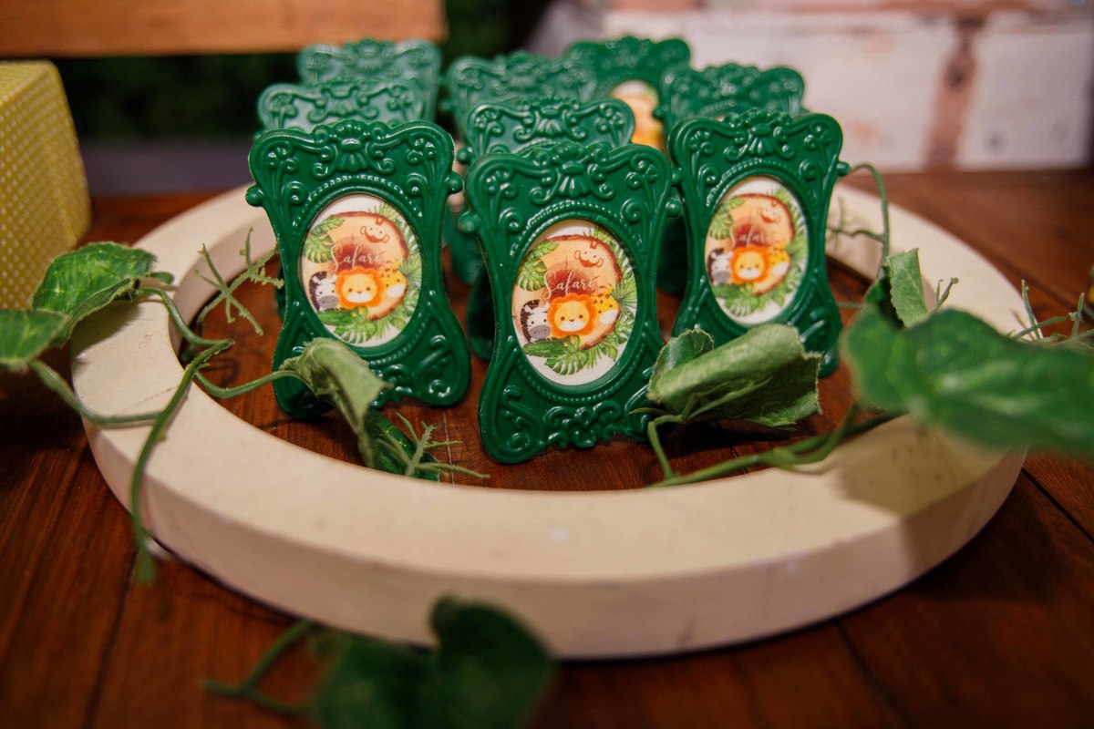 Fotografa familia Curitiba - buffet smalls kids safari bebes