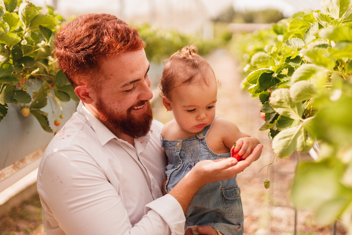 fotografa familia curitiba - ensaio bebe morango SJP