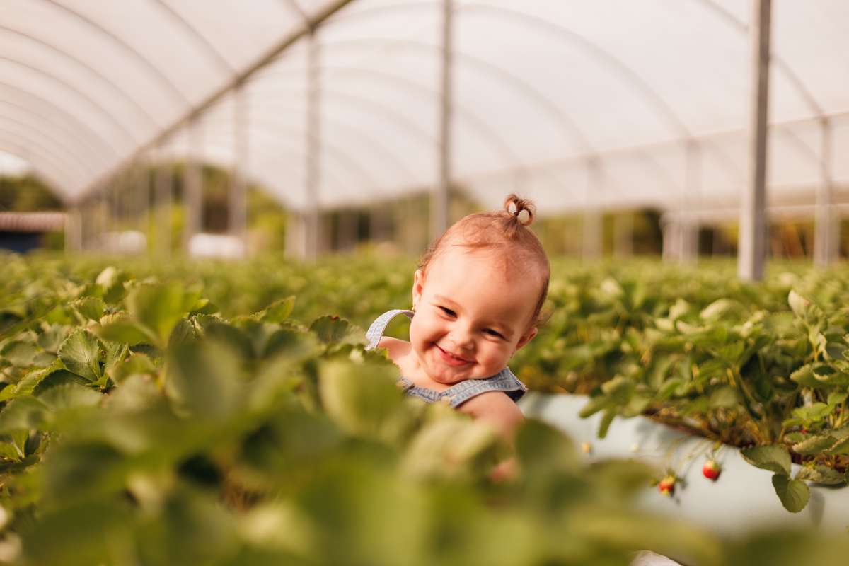 fotografa familia curitiba - ensaio bebe morango SJP