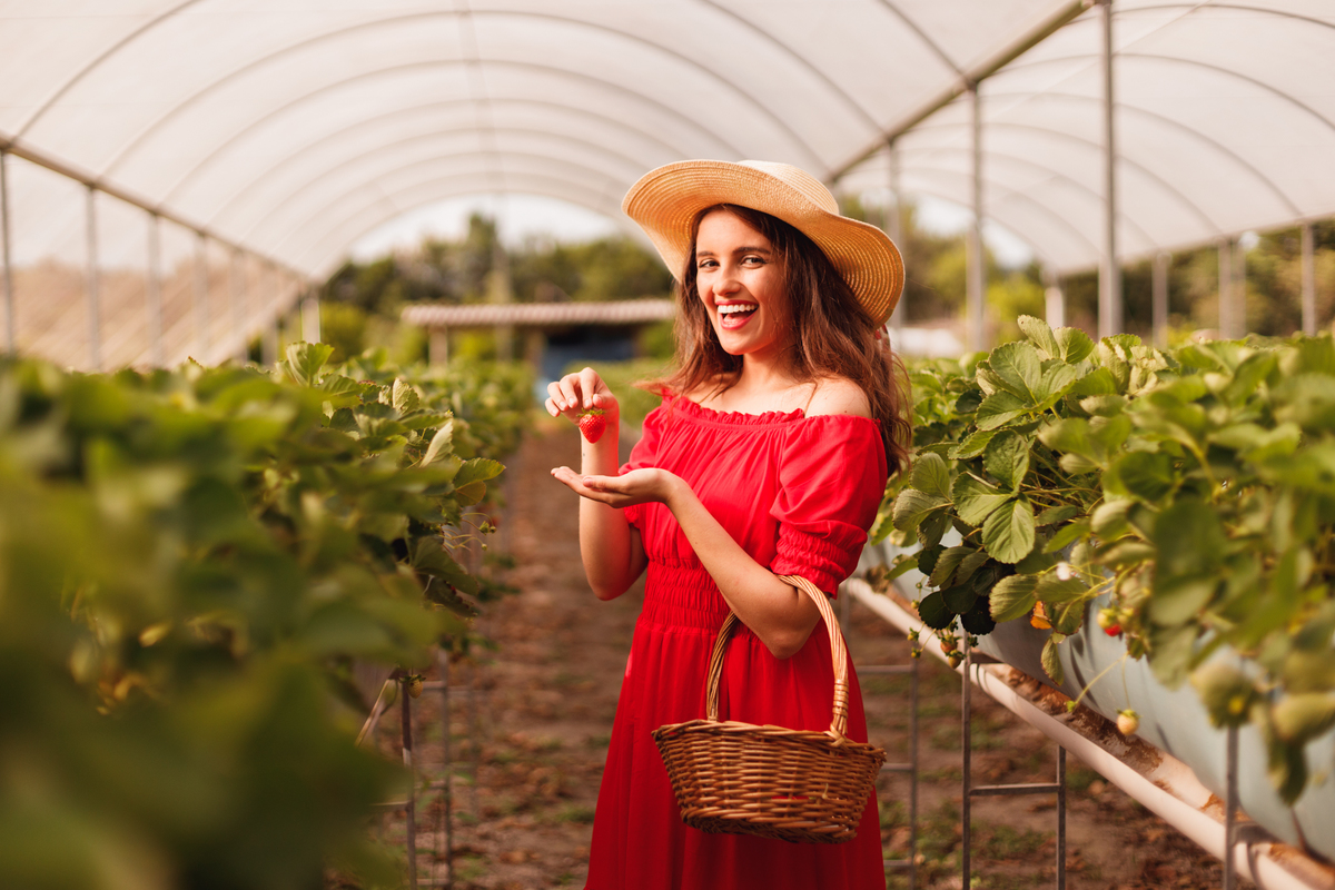fotografa familia curitiba - ensaio bebe morango SJP