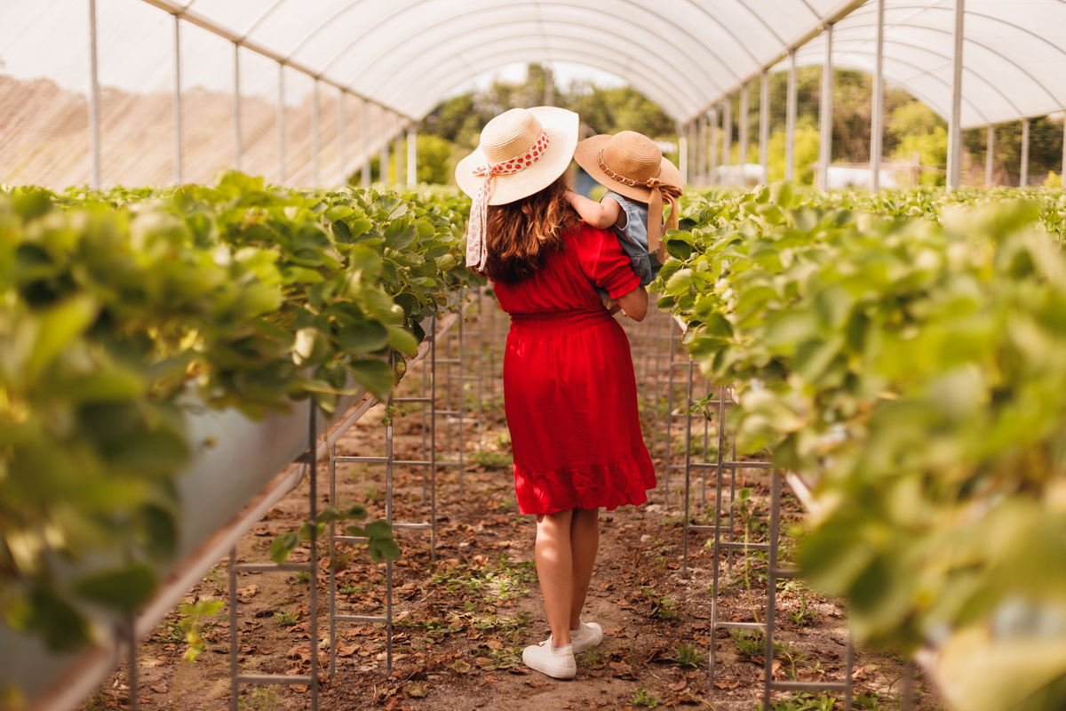 fotografa familia curitiba - ensaio bebe morango SJP