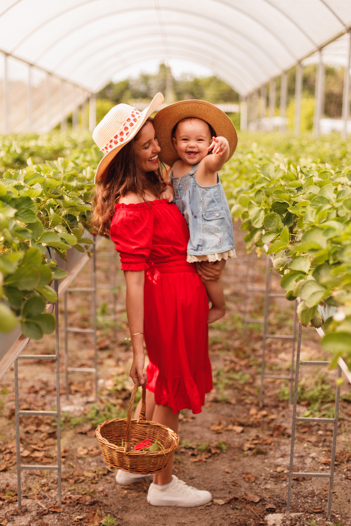 fotografa familia curitiba - ensaio bebe morango SJP
