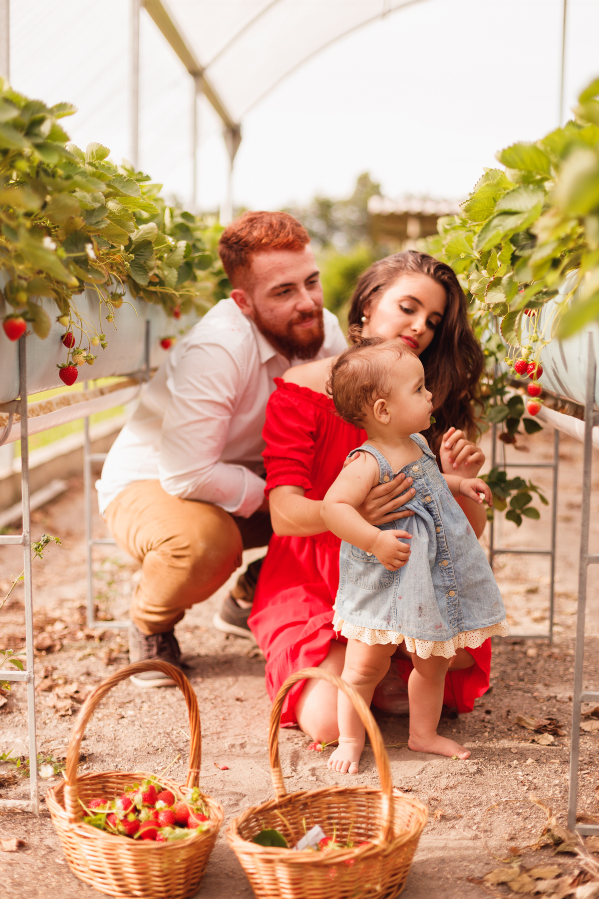 fotografa familia curitiba - ensaio bebe morango SJP