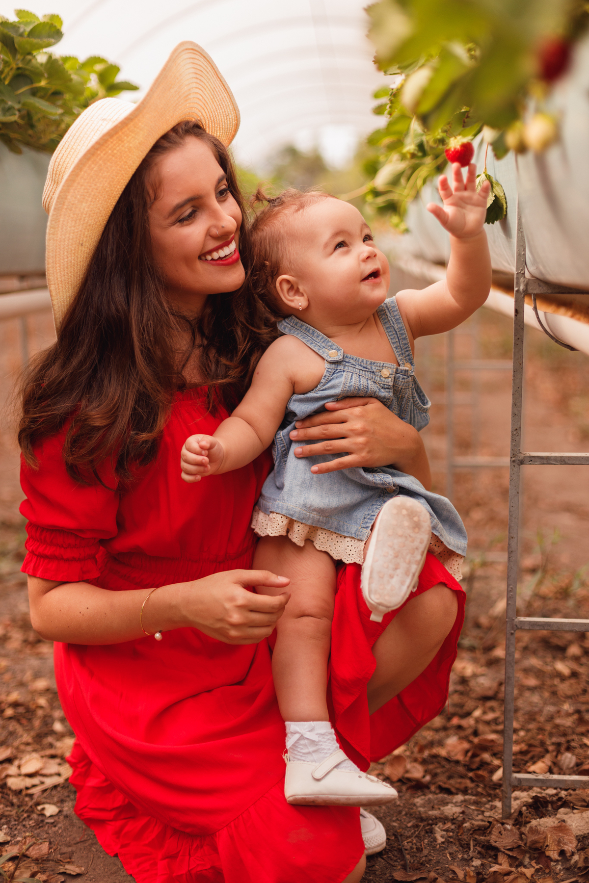 fotografa familia curitiba - ensaio bebe morango SJP