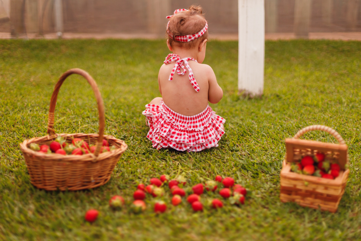 fotografa familia curitiba - ensaio bebe morango SJP
