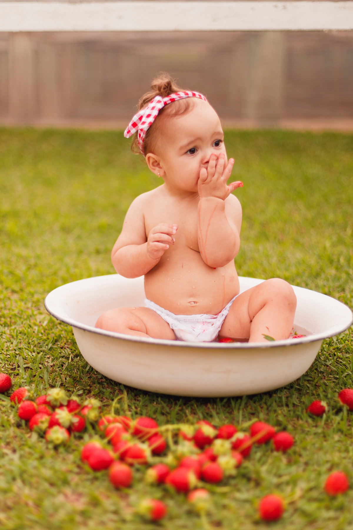 fotografa familia curitiba - ensaio bebe morango SJP