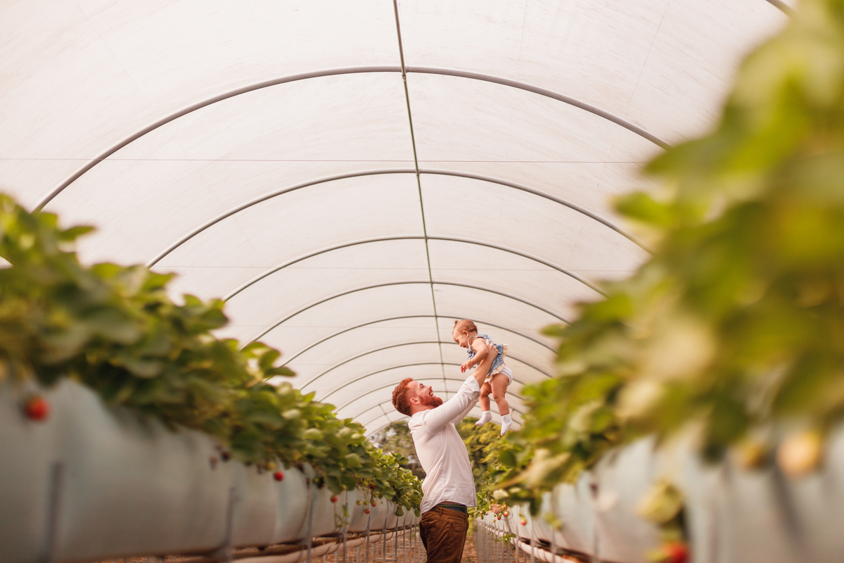 fotografa familia curitiba - ensaio bebe morango SJP