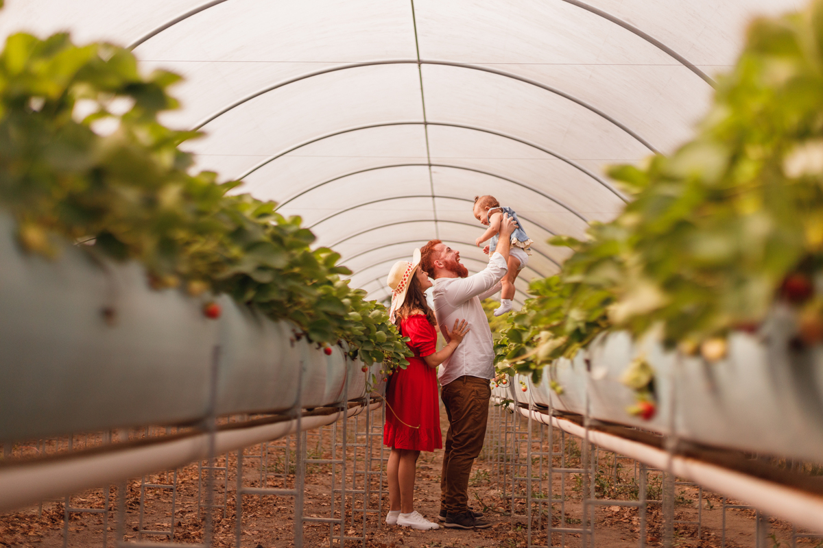 fotografa familia curitiba - ensaio bebe morango SJP