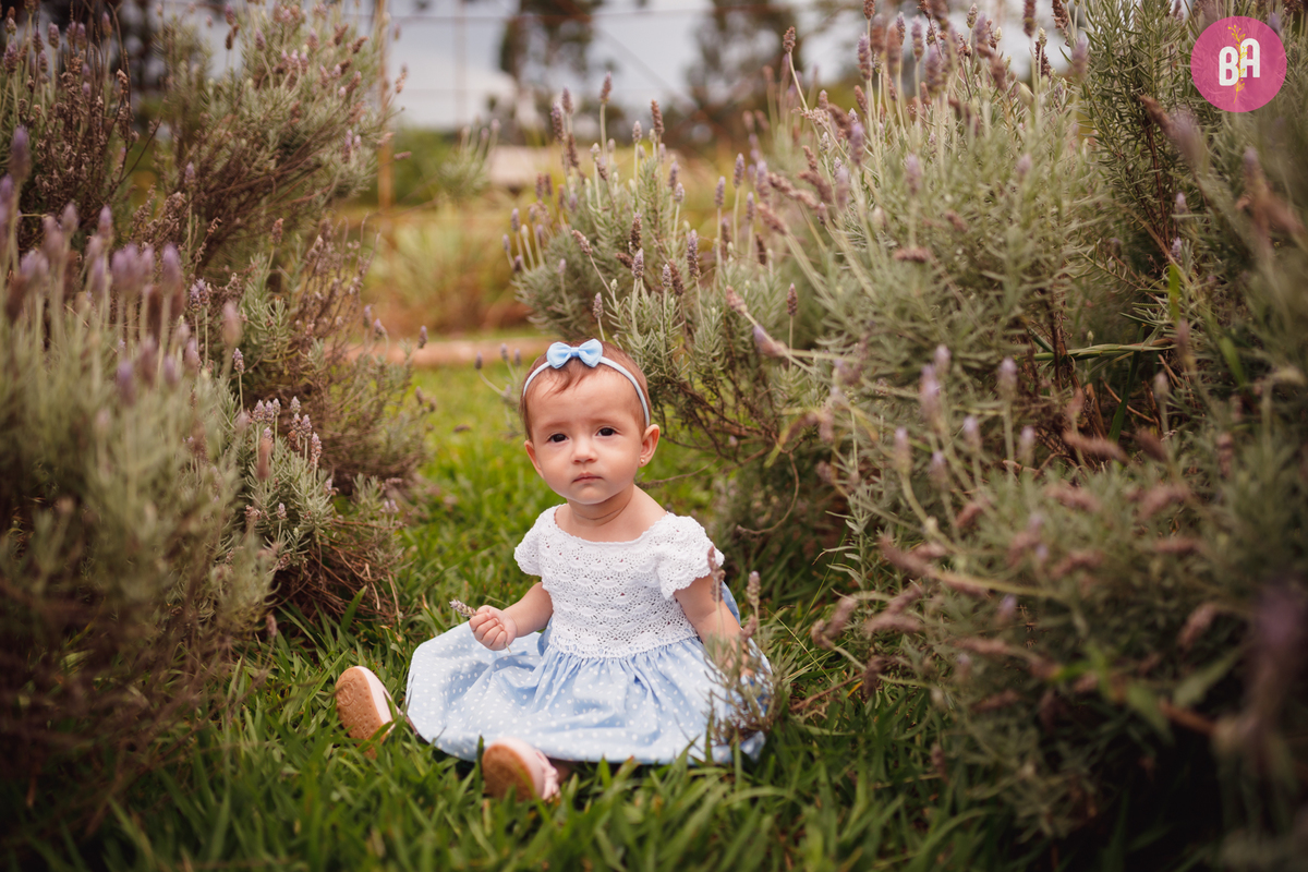 fotógrafa_família_curitiba_7meses_bebê_lavandário