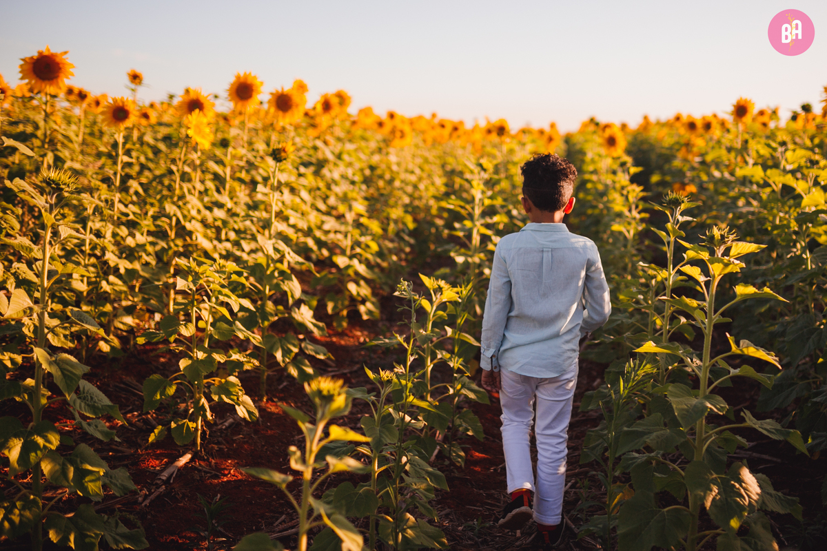 fotógrafa_família_curitiba_holambra_girassol