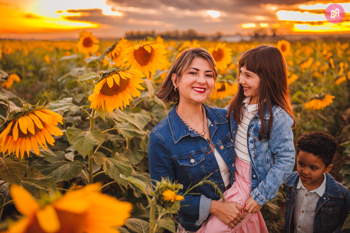 fotógrafa_família_curitiba_holambra_girassol