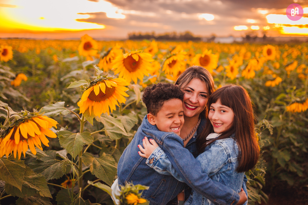 fotógrafa_família_curitiba_holambra_girassol