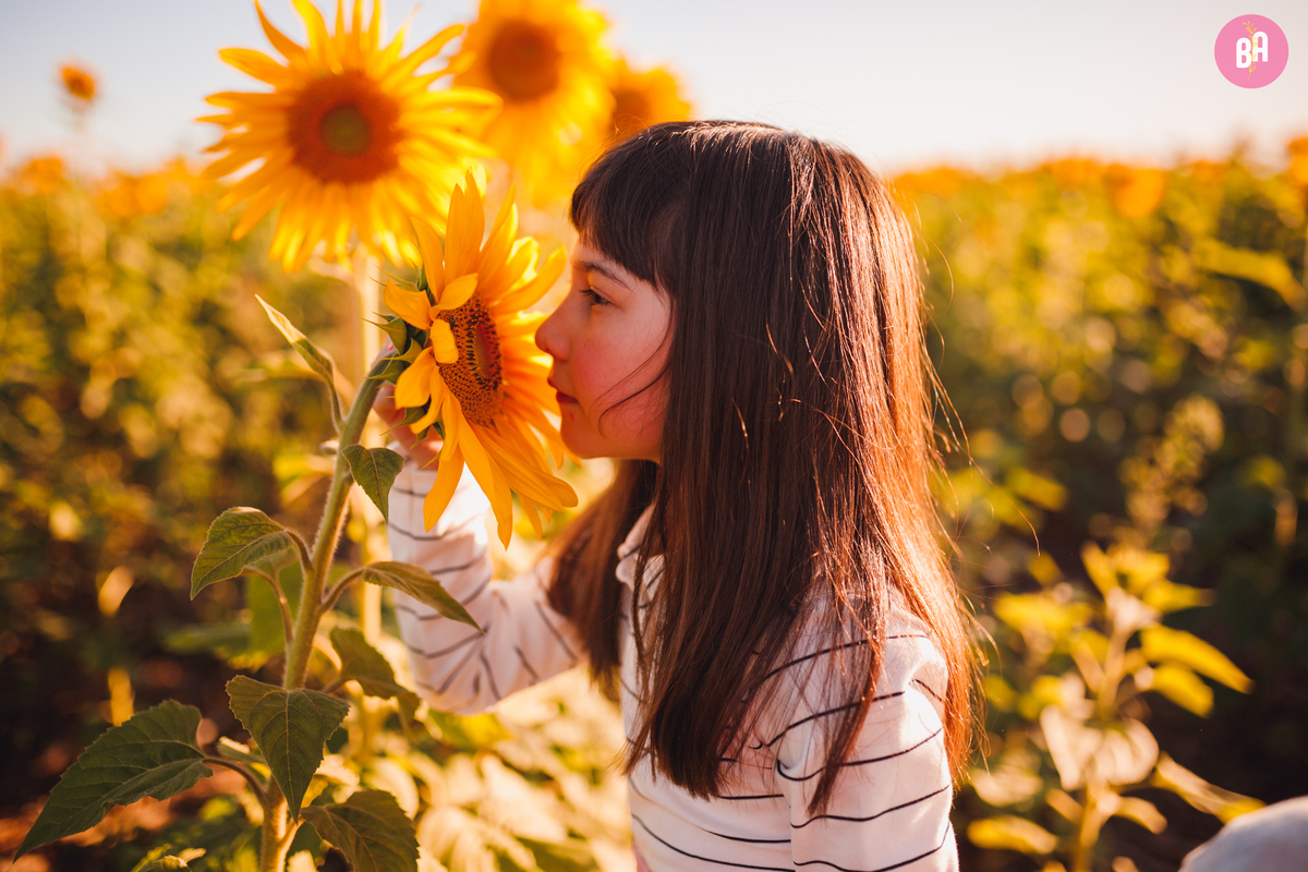 fotógrafa_família_curitiba_holambra_girassol