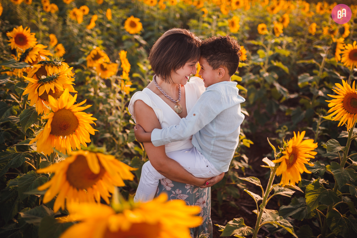 fotógrafa_família_curitiba_holambra_girassol