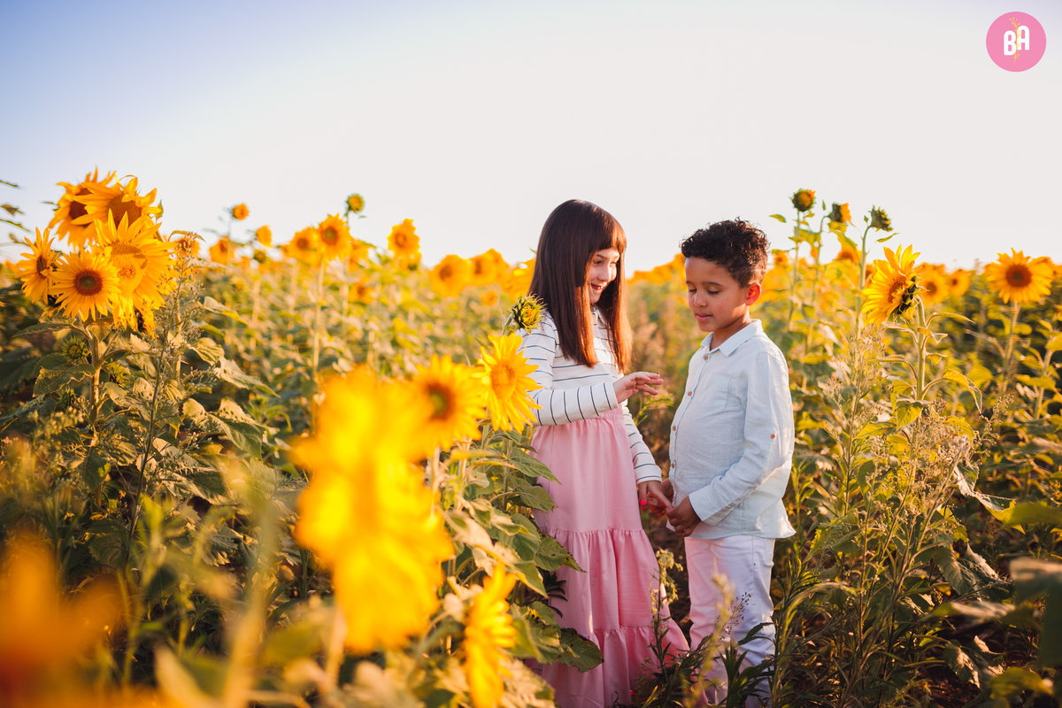 fotógrafa_família_curitiba_holambra_girassol
