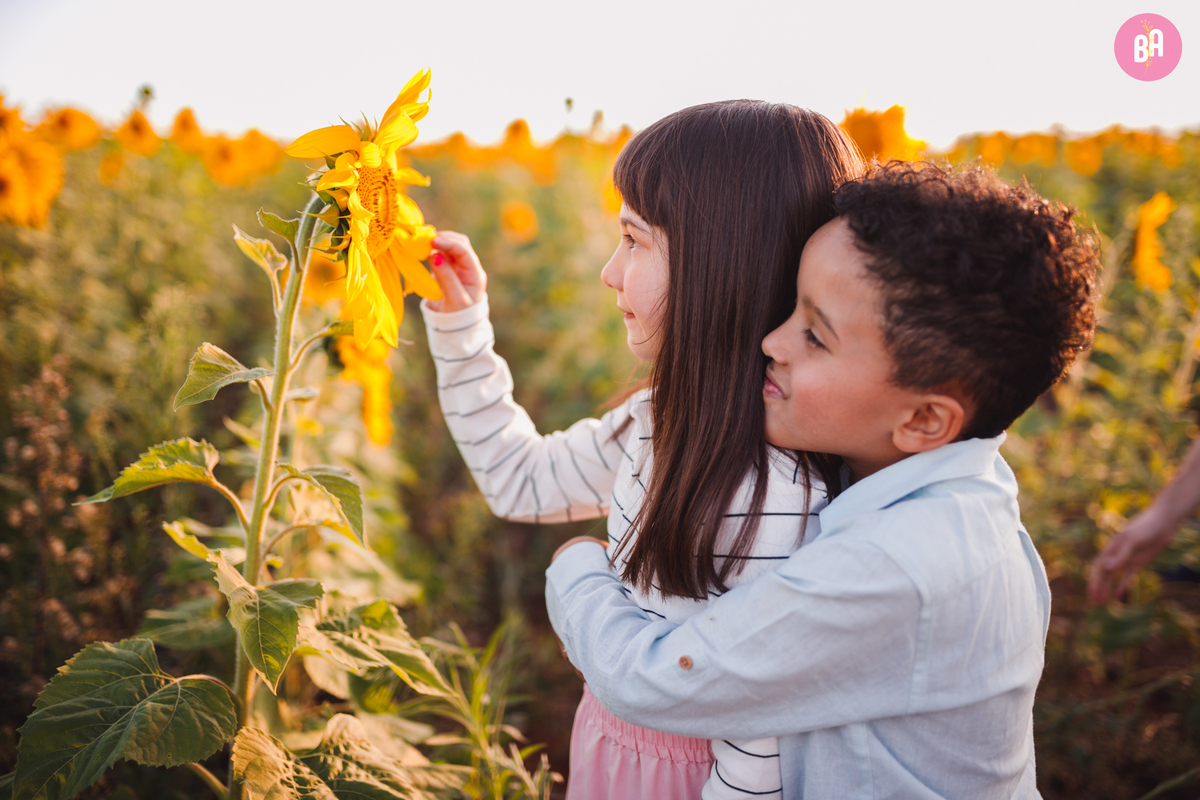 fotógrafa_família_curitiba_holambra_girassol