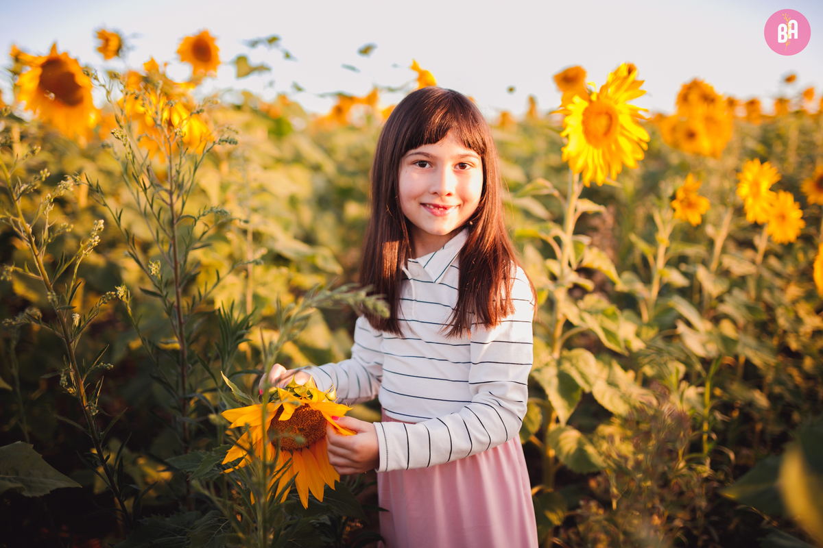 fotógrafa_família_curitiba_holambra_girassol