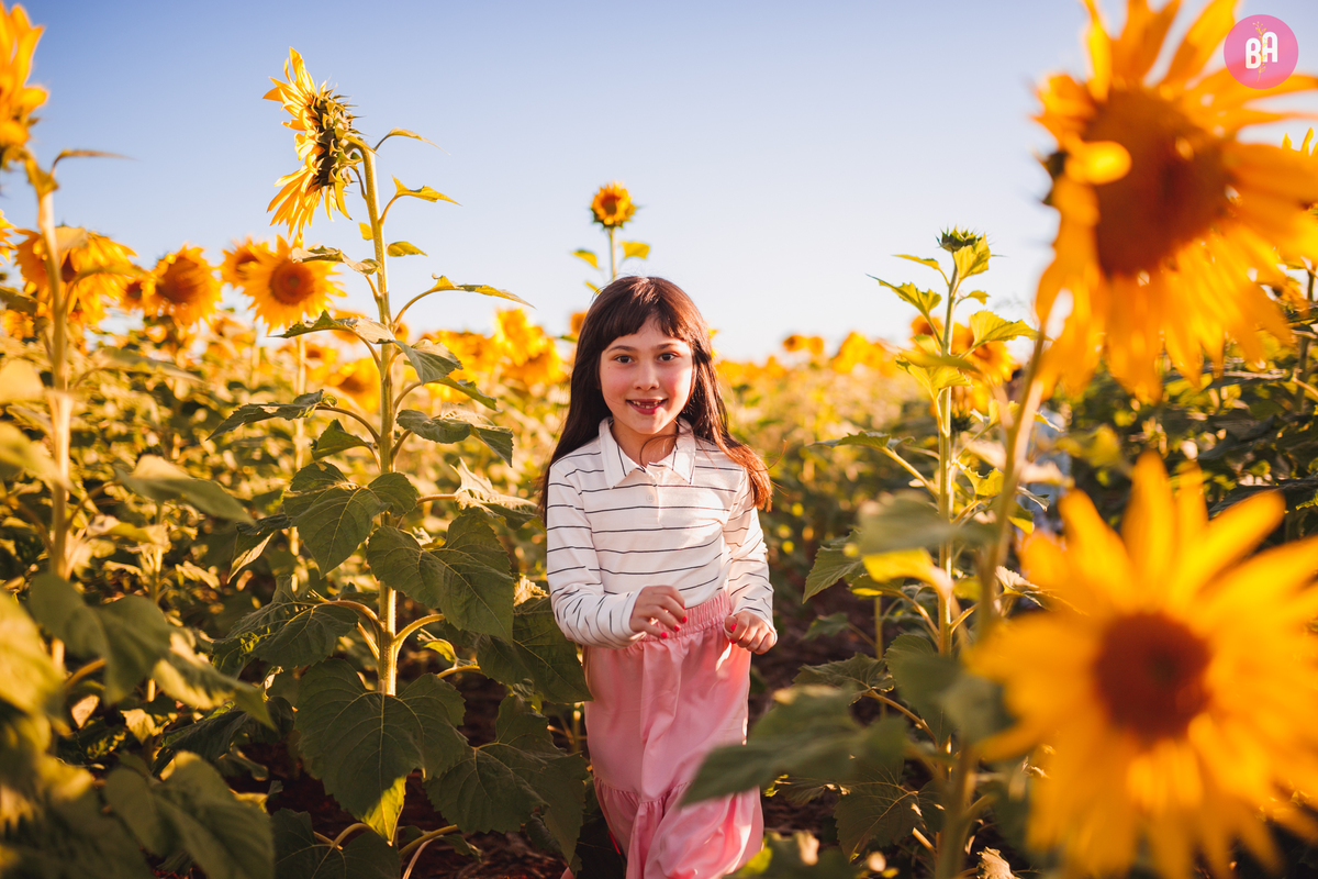 fotógrafa_família_curitiba_holambra_girassol
