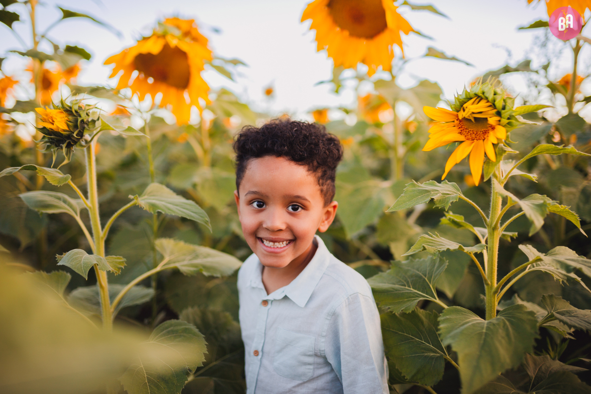 fotógrafa_família_curitiba_holambra_girassol