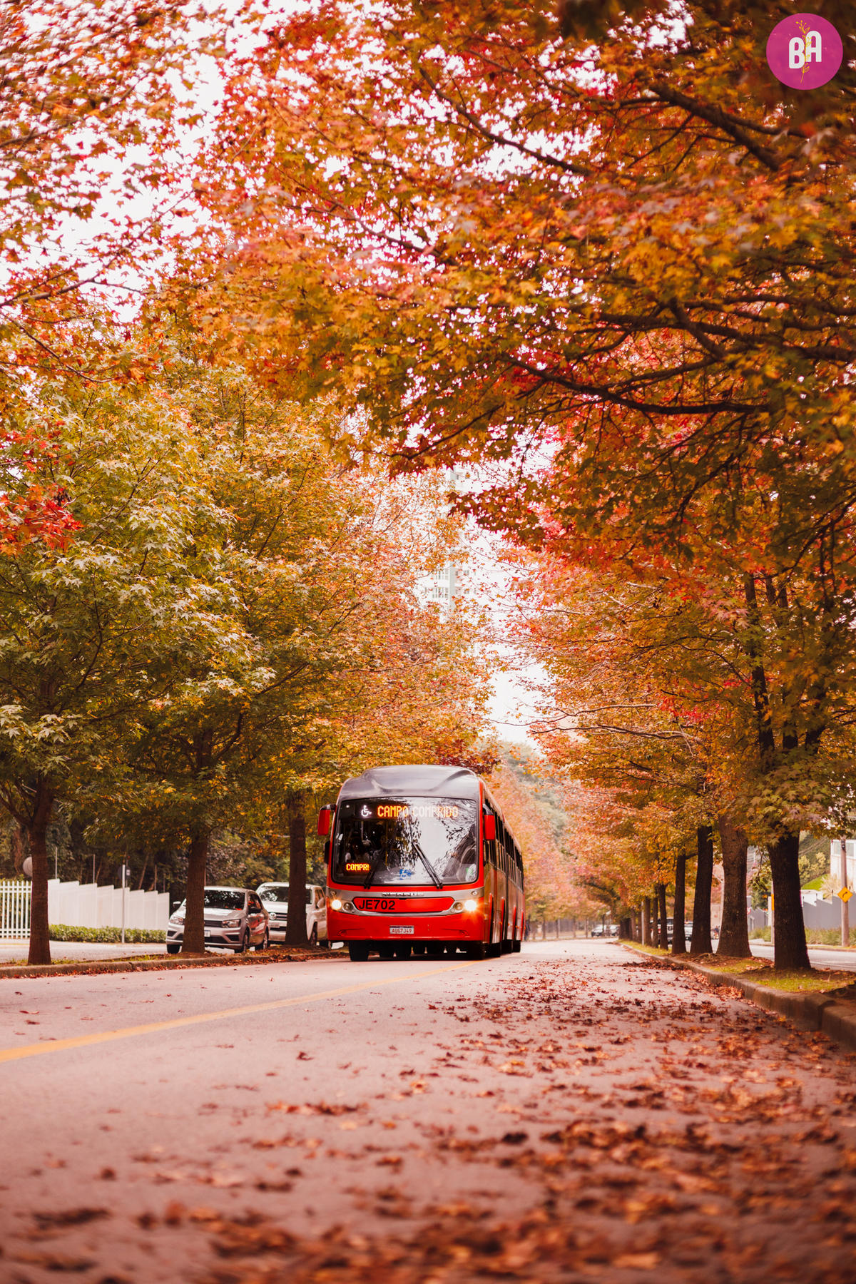 fotógrafa_família_curitiba_bebê_outono