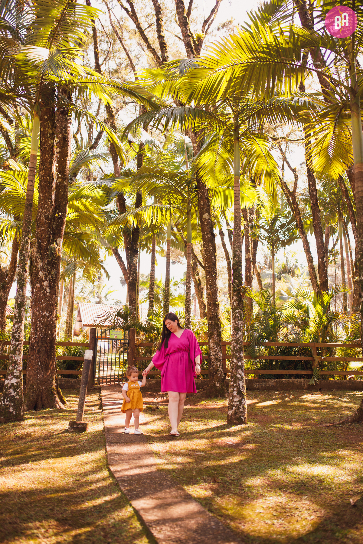 fotógrafa_família_curitiba_aniversário