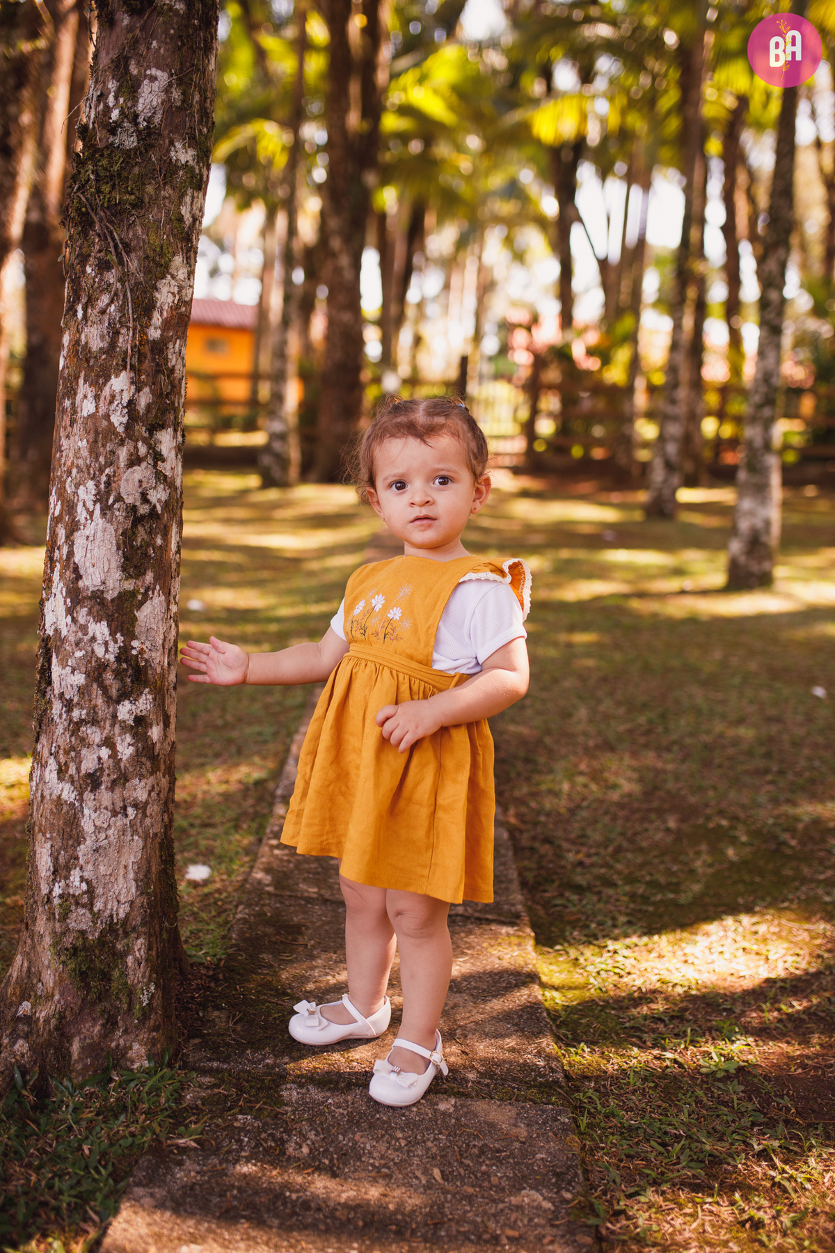 fotógrafa_família_curitiba_aniversário