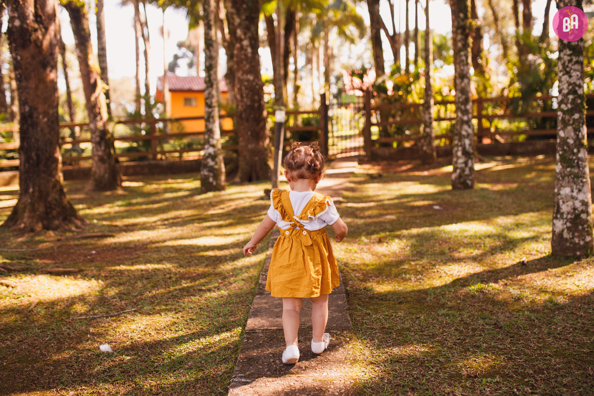 fotógrafa_família_curitiba_aniversário