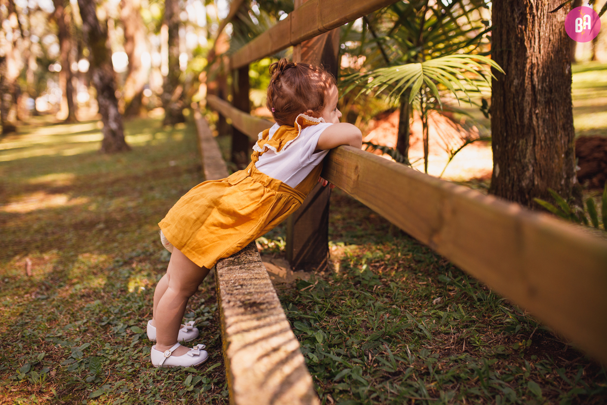 fotógrafa_família_curitiba_aniversário
