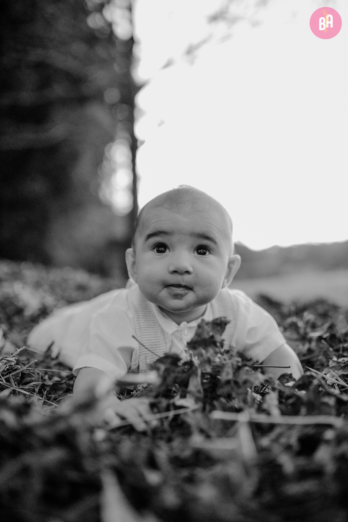 fotógrafa_família_curitiba_bebe_outono