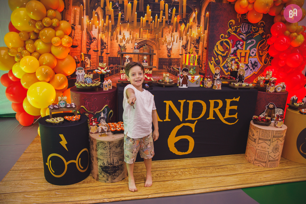 fotógrafa_família_curitiba_aniversário_harry_potter