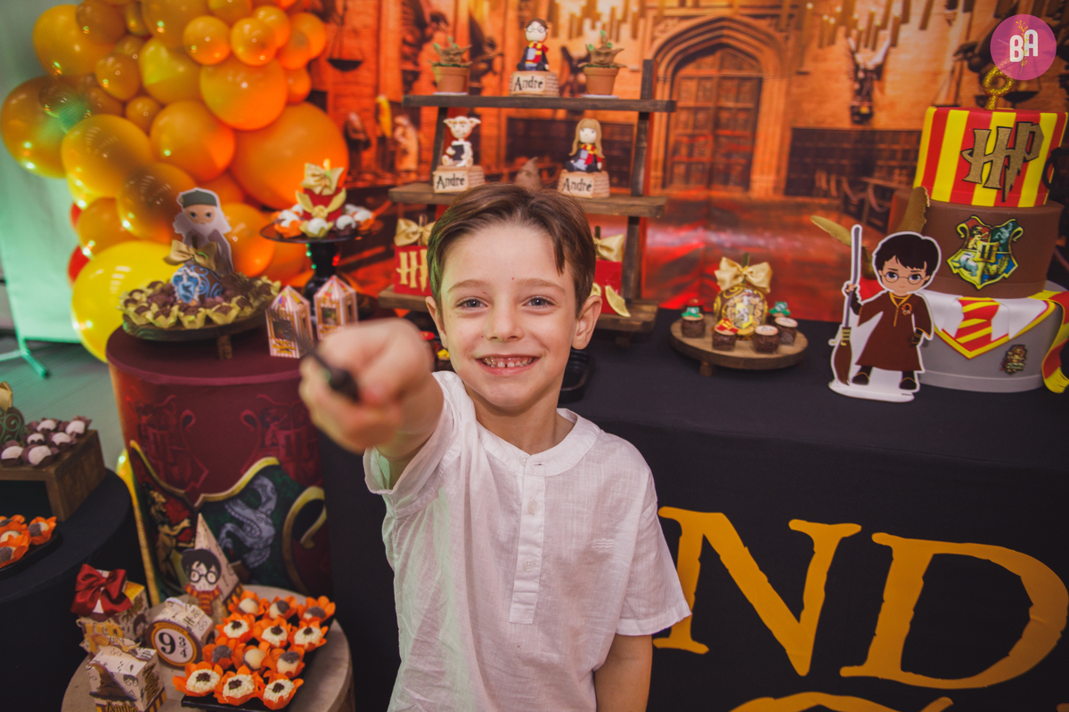 fotógrafa_família_curitiba_aniversário_harry_potter