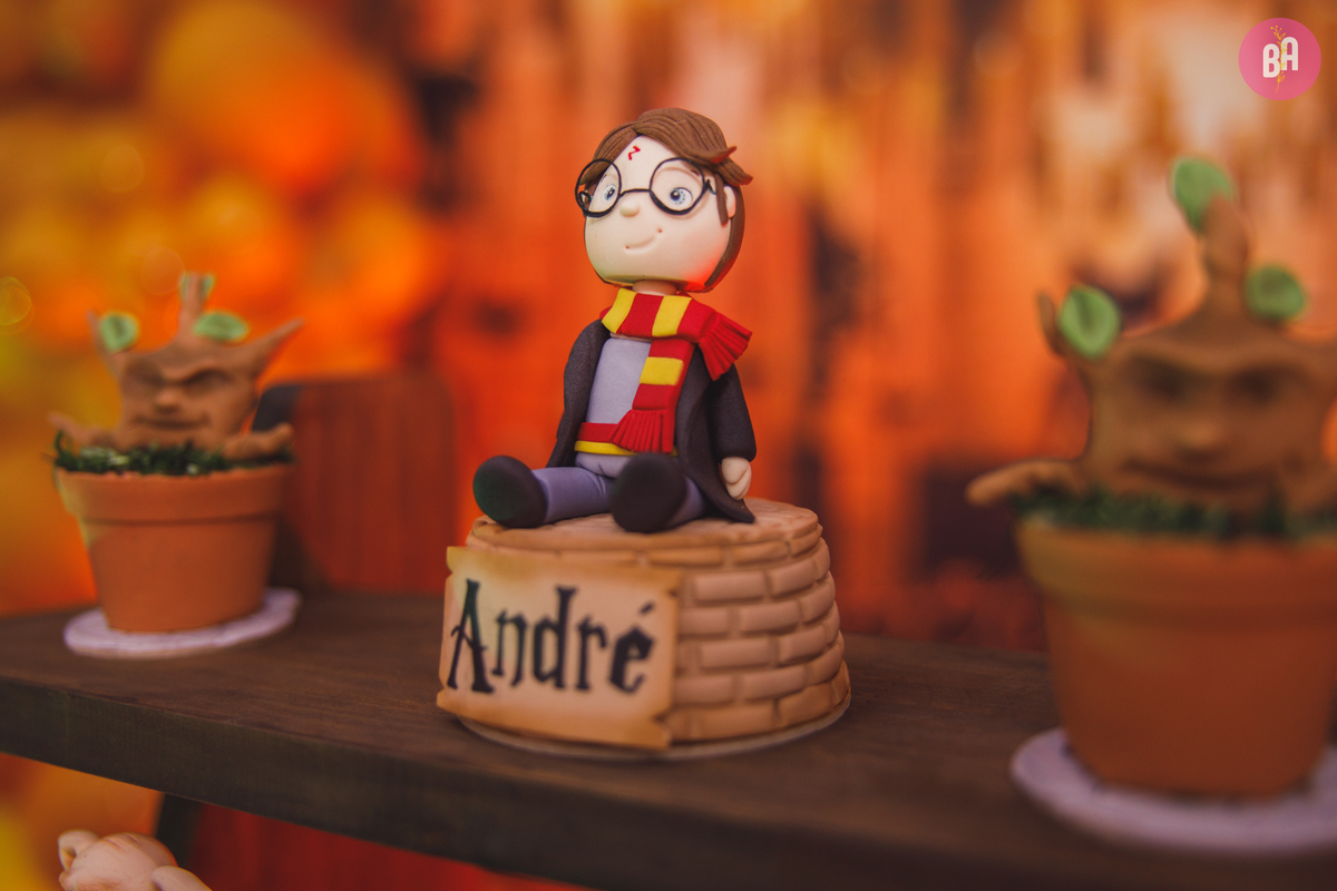 fotógrafa_família_curitiba_aniversário_harry_potter