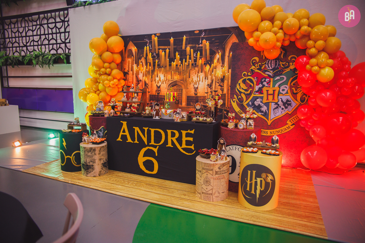 fotógrafa_família_curitiba_aniversário_harry_potter