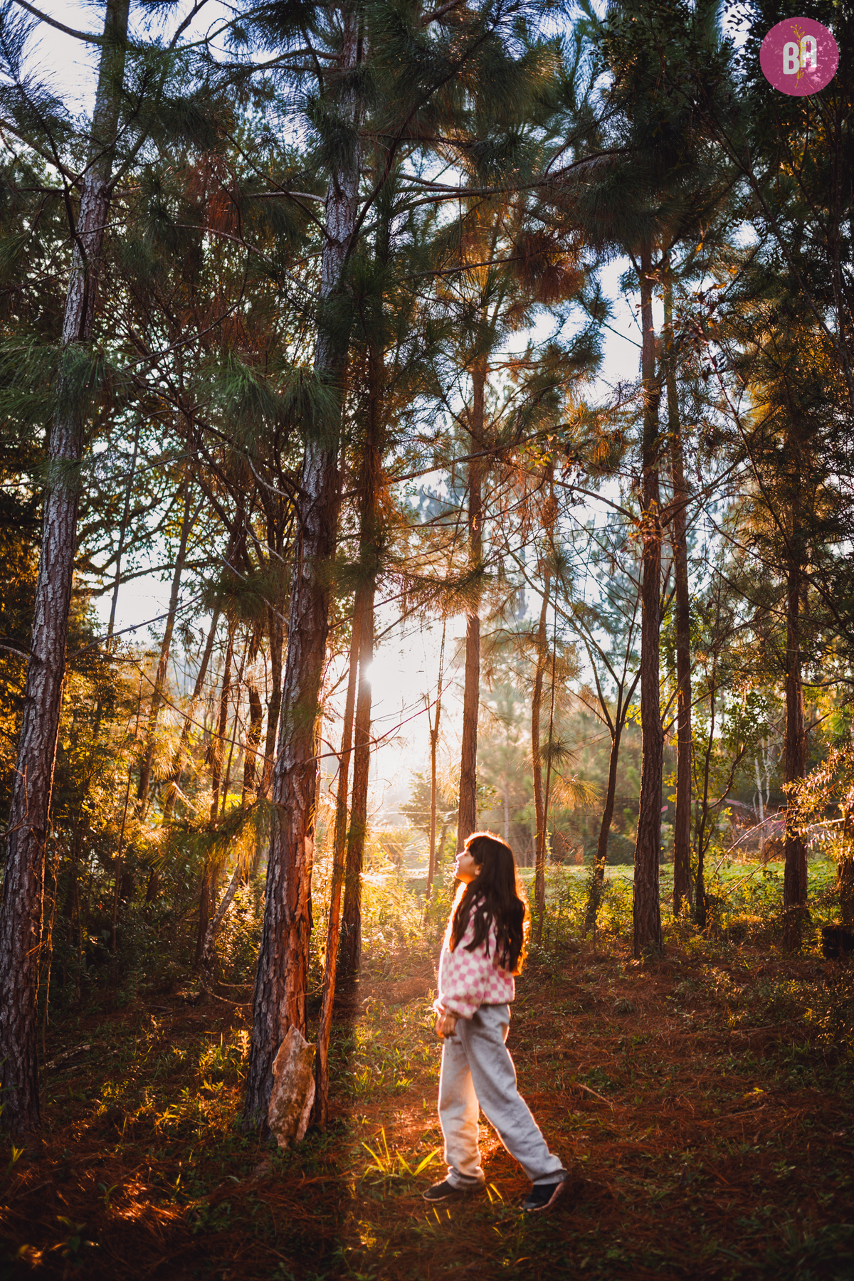 fotógrafa_família_curitiba_camping