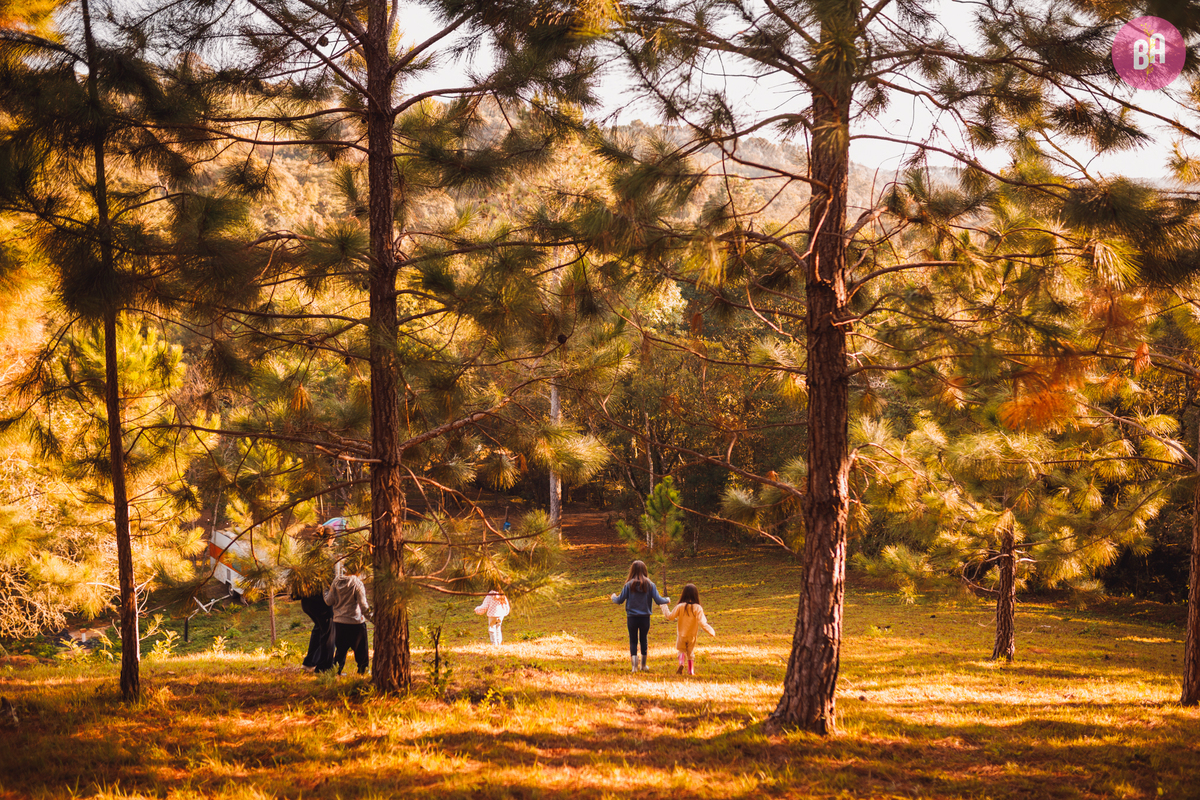 fotógrafa_família_curitiba_camping