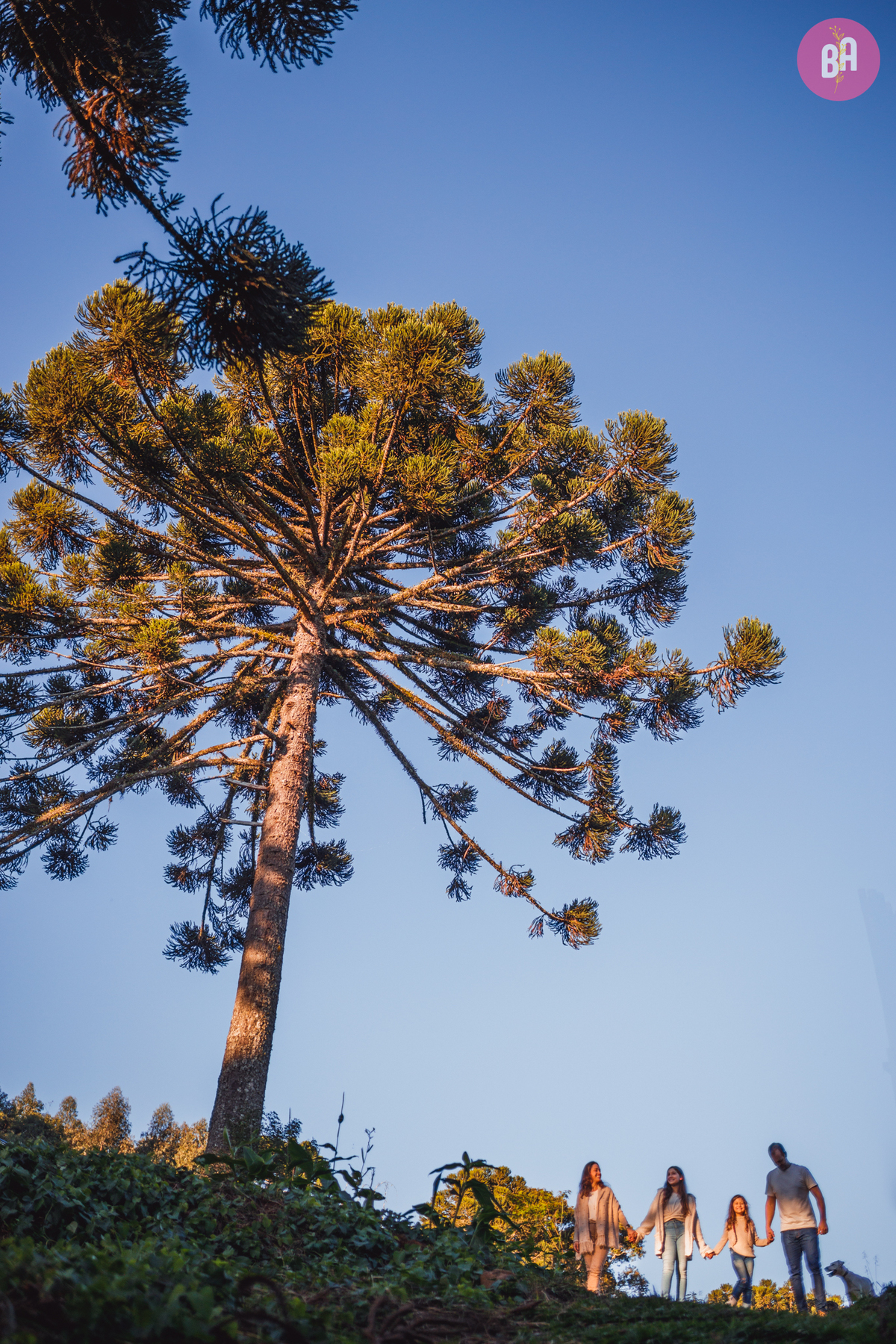 fotógrafa_família_curitiba_cabana