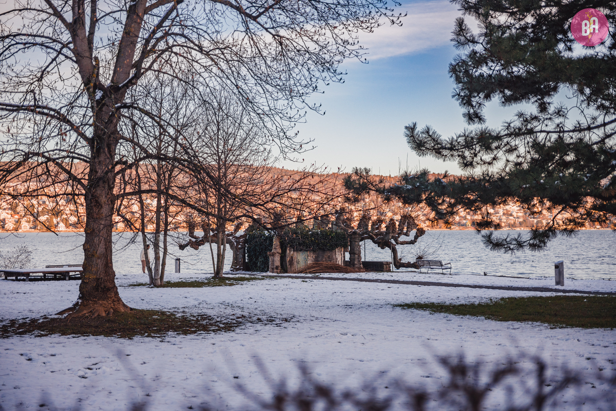 fotógrafa_família_curitiba_viagem