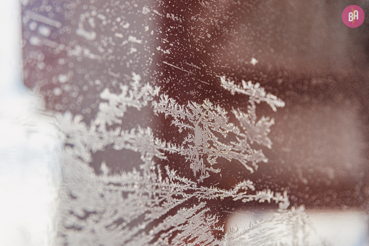 fotógrafa_família_curitiba_viagem