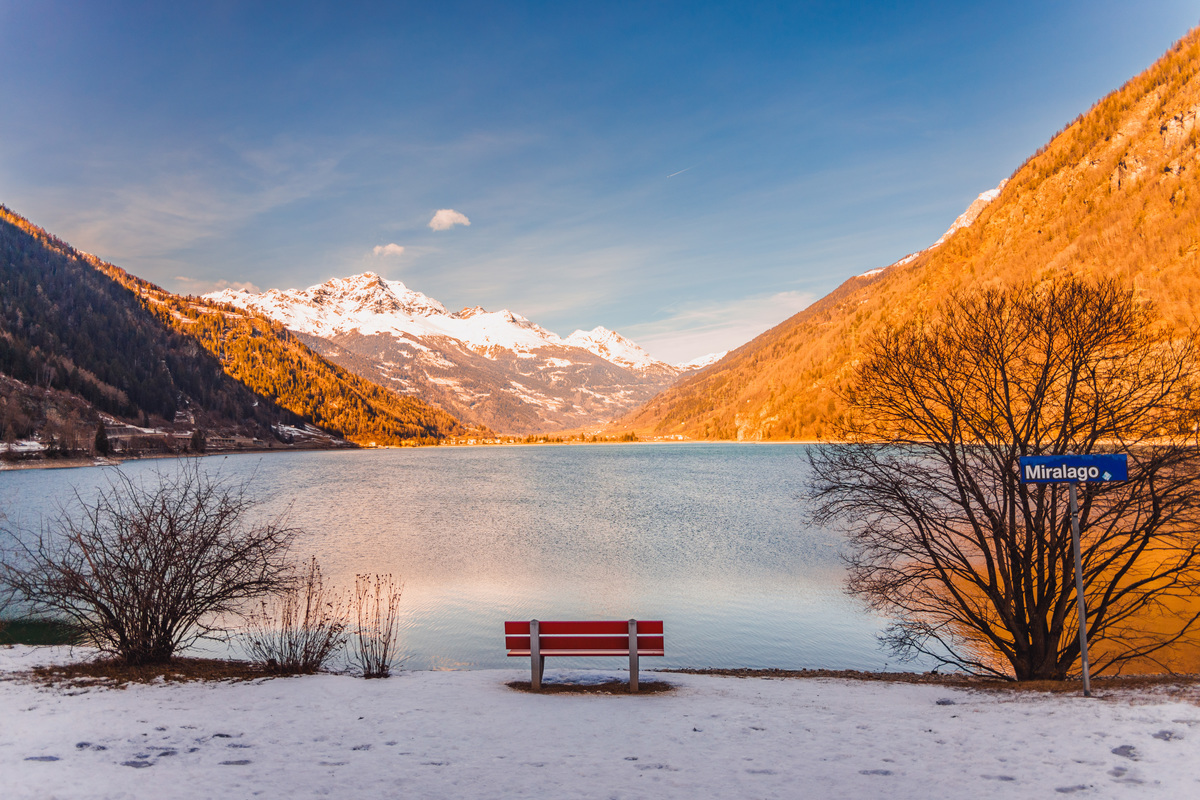 fotógrafa_família_curitiba_viagem