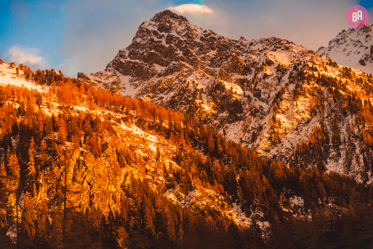 fotógrafa_família_curitiba_viagem