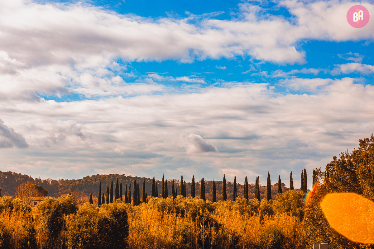 fotógrafa_família_curitiba_viagem