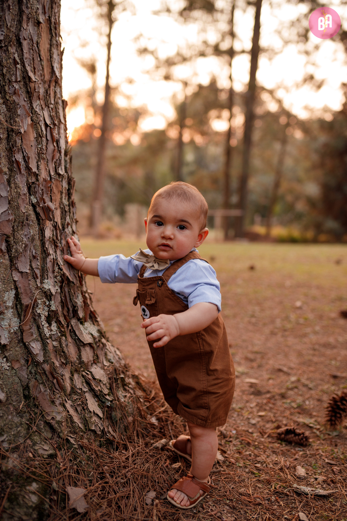 fotógrafa_família_curitiba_piquenique